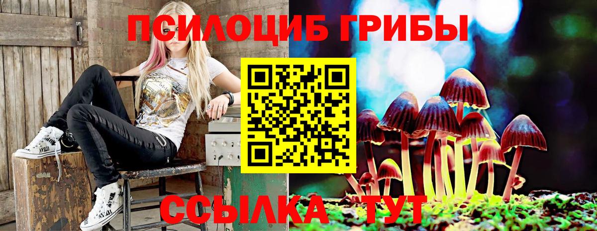 Псилоцибиновые грибы GOLDEN TEACHER  Вход с VPN  Назарово 